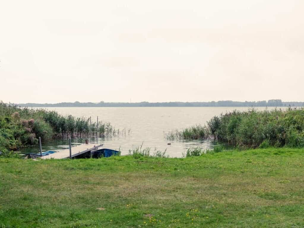 Grüne Wiese am Ufer des Schmollensees mit Schilfgürtel und schmalem Holzsteg mit zwei festgemachten Ruderbooten