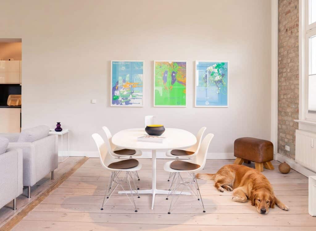 Ein schlafender goldener Retriever ruht auf dem Dielenboden eines hellen Apartments im Kaiser Karl, umgeben von moderner Kunst und historischem Backstein-Akzent.